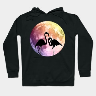 Flamingo and pink moon Hoodie